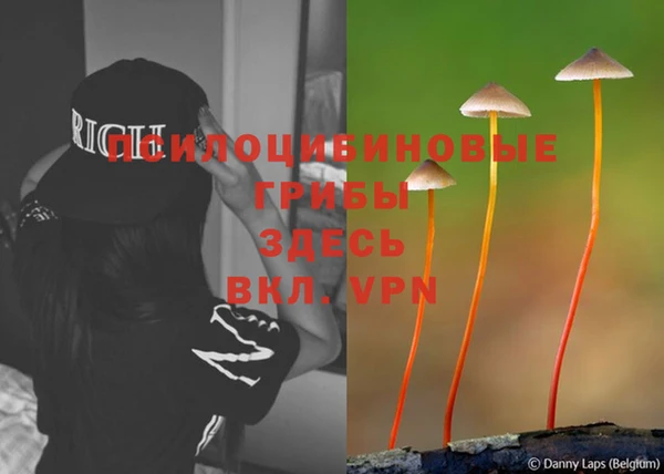 гидропоника Ступино